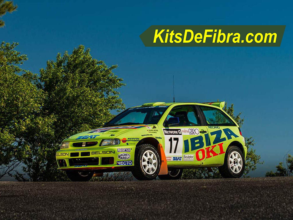 Seat Ibiza Kit Car Erwin Weber